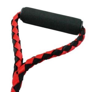 PawHarness™ Double Braided Rope Dog Leash